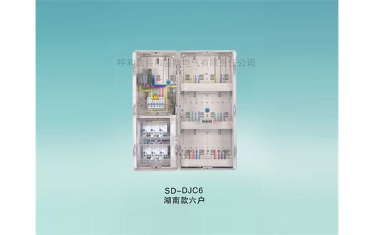 ＳＤ-DJC6湖南款電表箱六戶